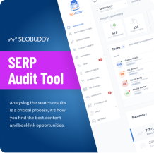 SERP Audit Tool