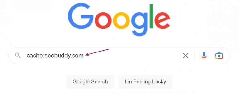 Google Cache Search: How to View Cached Pages and Website