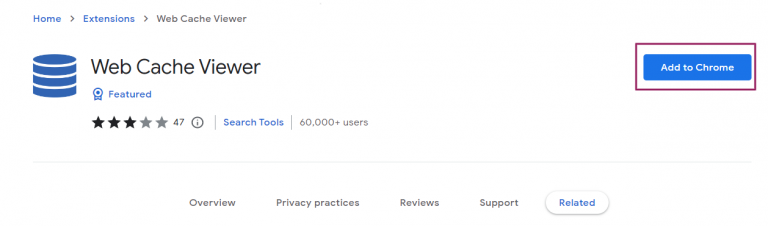 Google Cache Search: How to View Cached Pages and Website