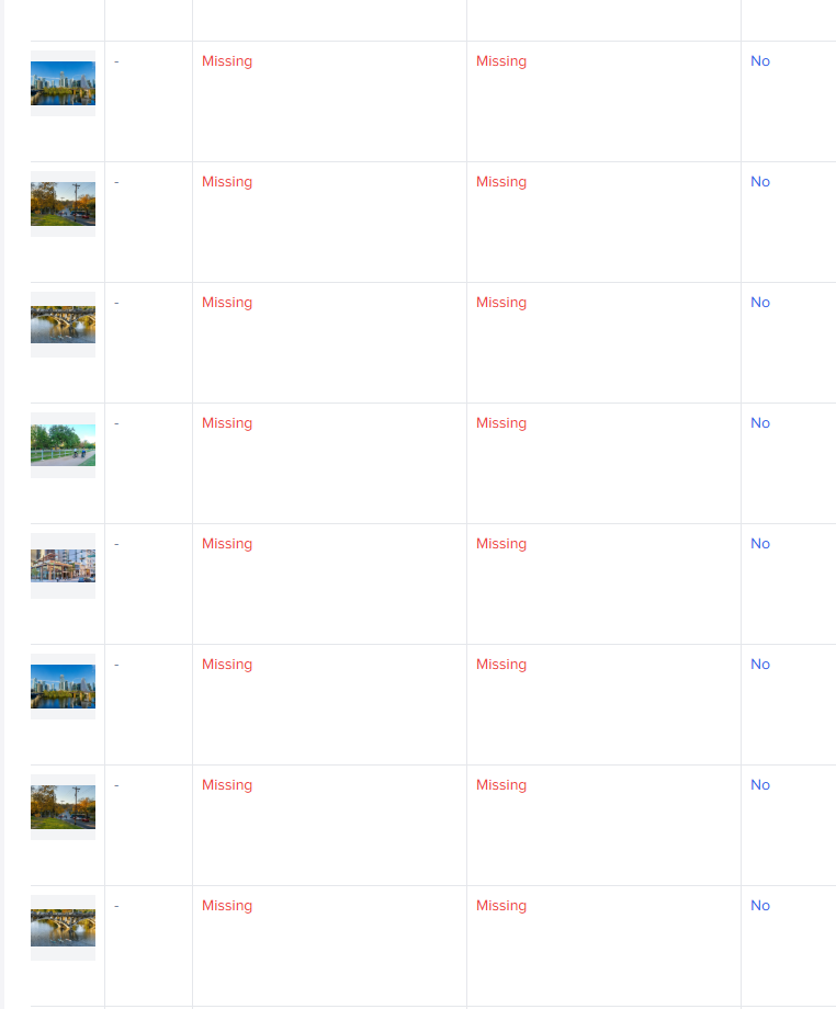 Part of the original image audit showing missing metadata fields across multiple website images.