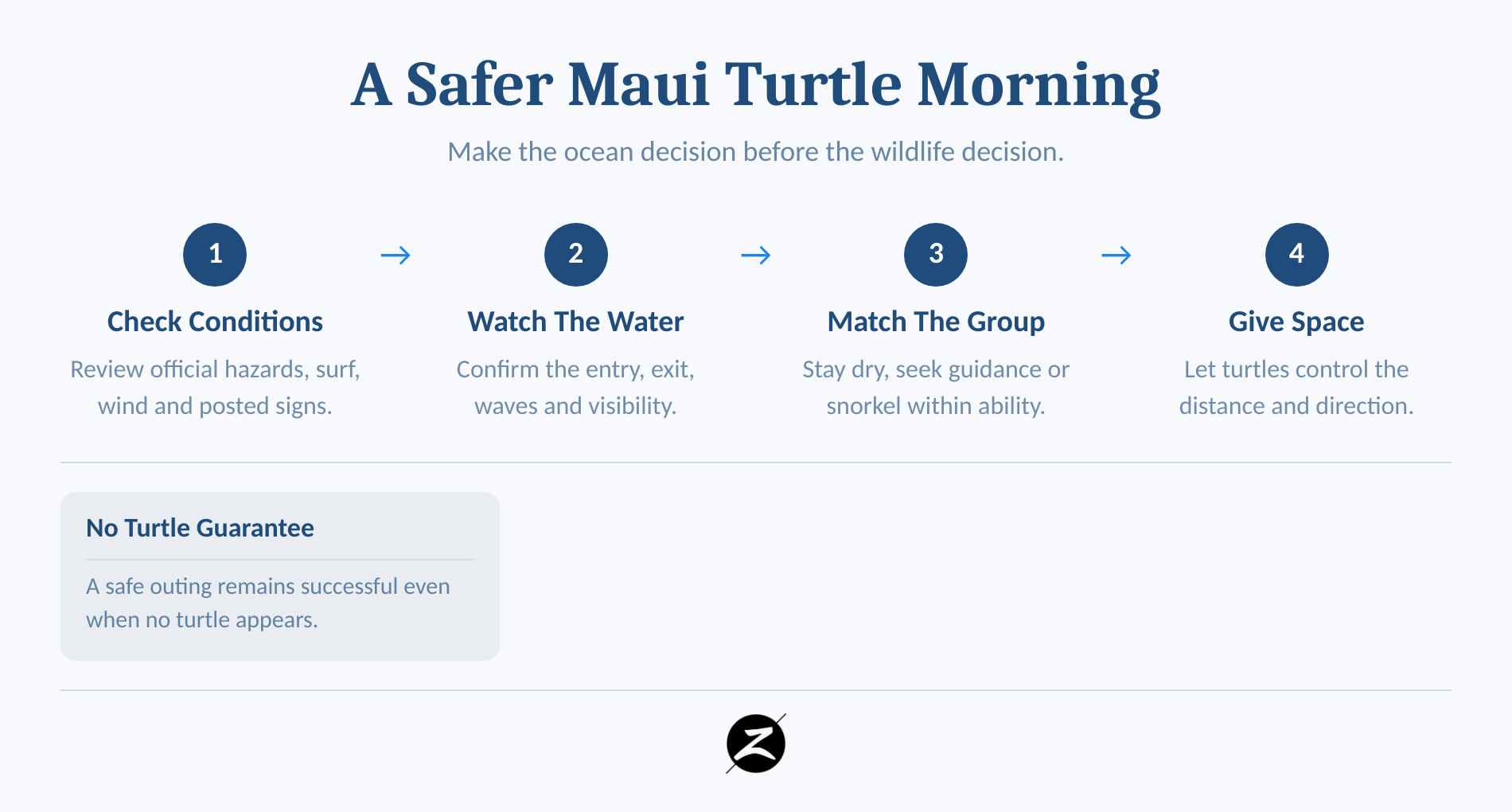 Four-step plan for a safer Maui turtle-viewing morning