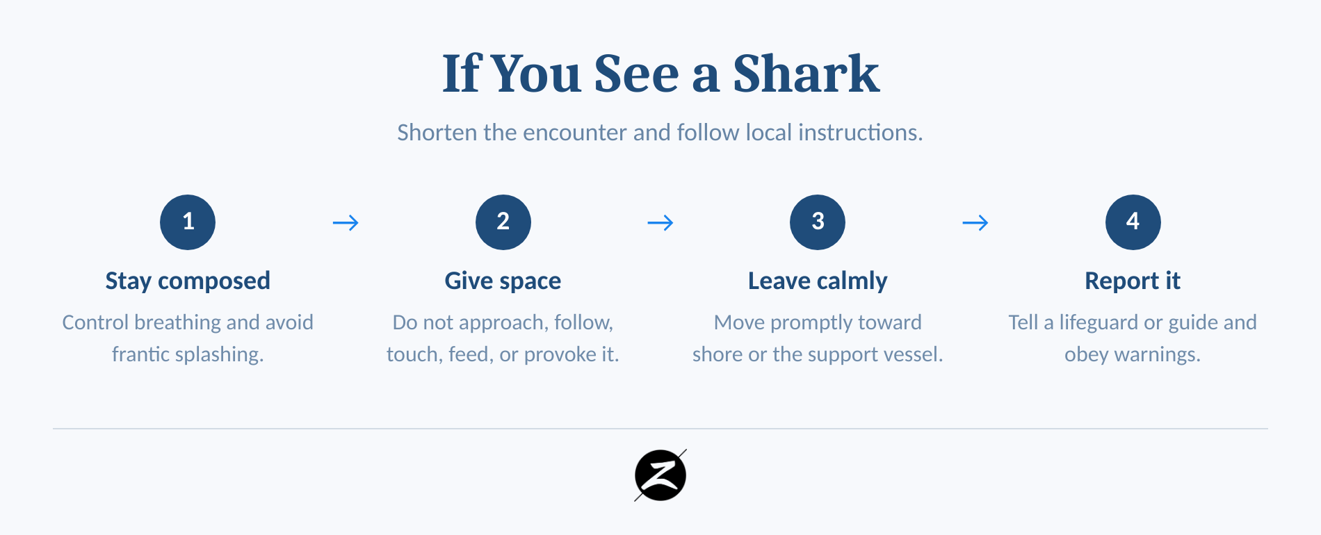 Four-step response for leaving the water calmly after a shark sighting.