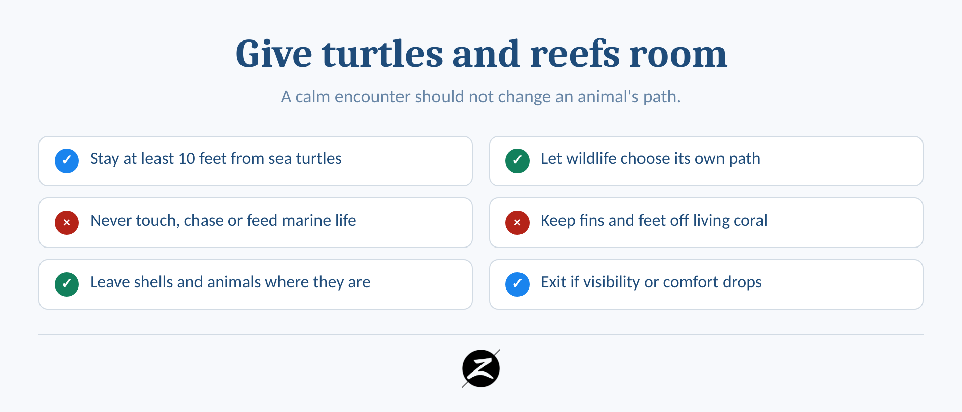 Best Snorkeling in South Maui: Beaches for Beginners, Turtles and Reef Life 5 Checklist showing safe distance from turtles and reef-protection rules