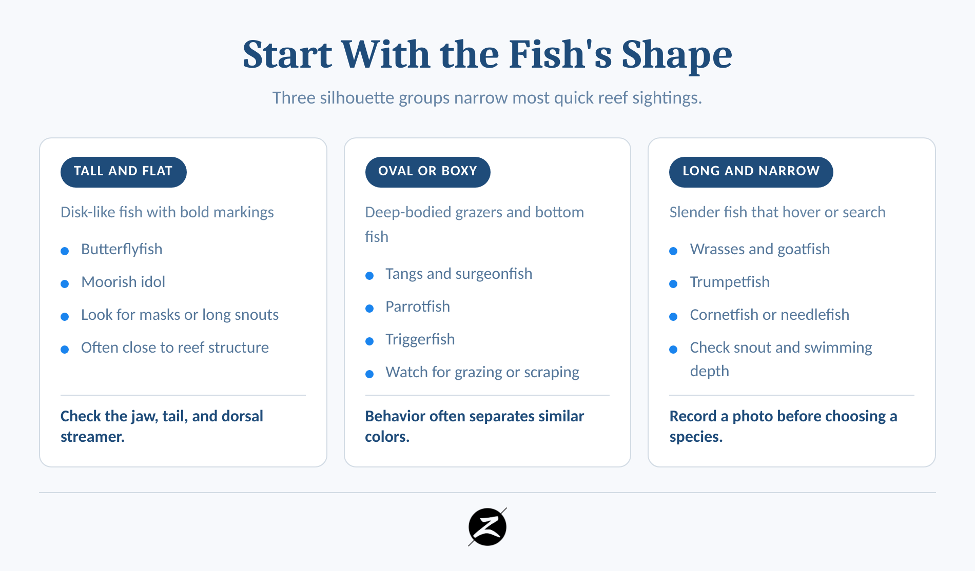 Maui Fish Snorkeling Guide: Reef Species You May See 1 Comparison of tall, oval, and slender Maui reef fish body shapes