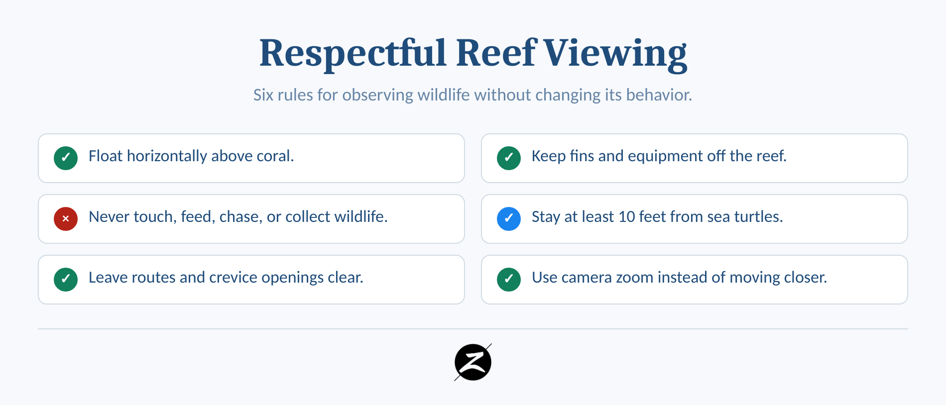 Maui Fish Snorkeling Guide: Reef Species You May See 4 Checklist for observing Maui reef wildlife without touching or crowding it