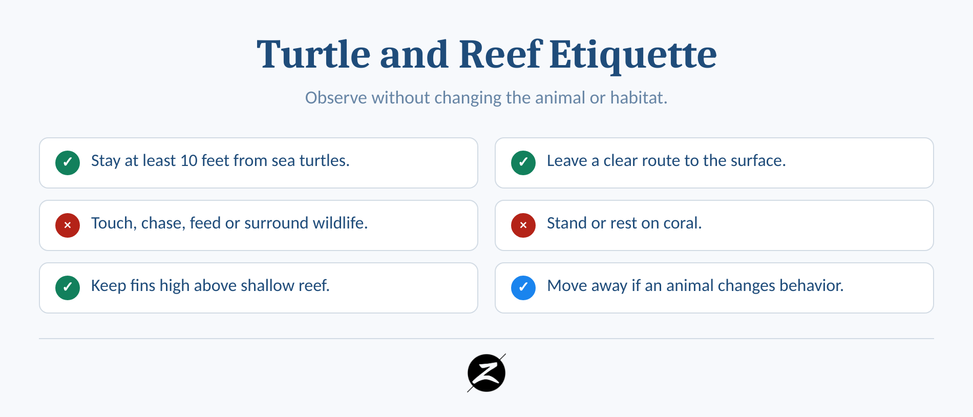 Snorkeling at Makena Beach: Big Beach vs. Makena Landing 3 Checklist for respectful turtle viewing and reef-safe snorkeling